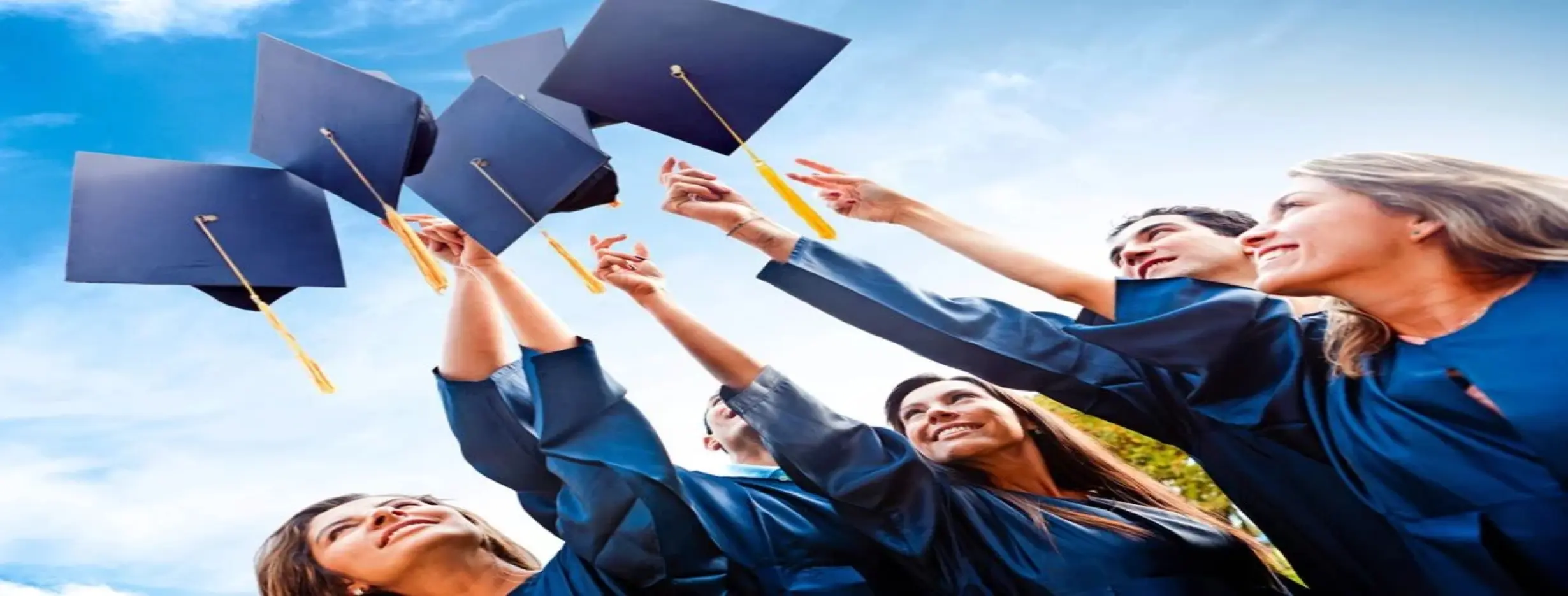 Image for Educational Haven